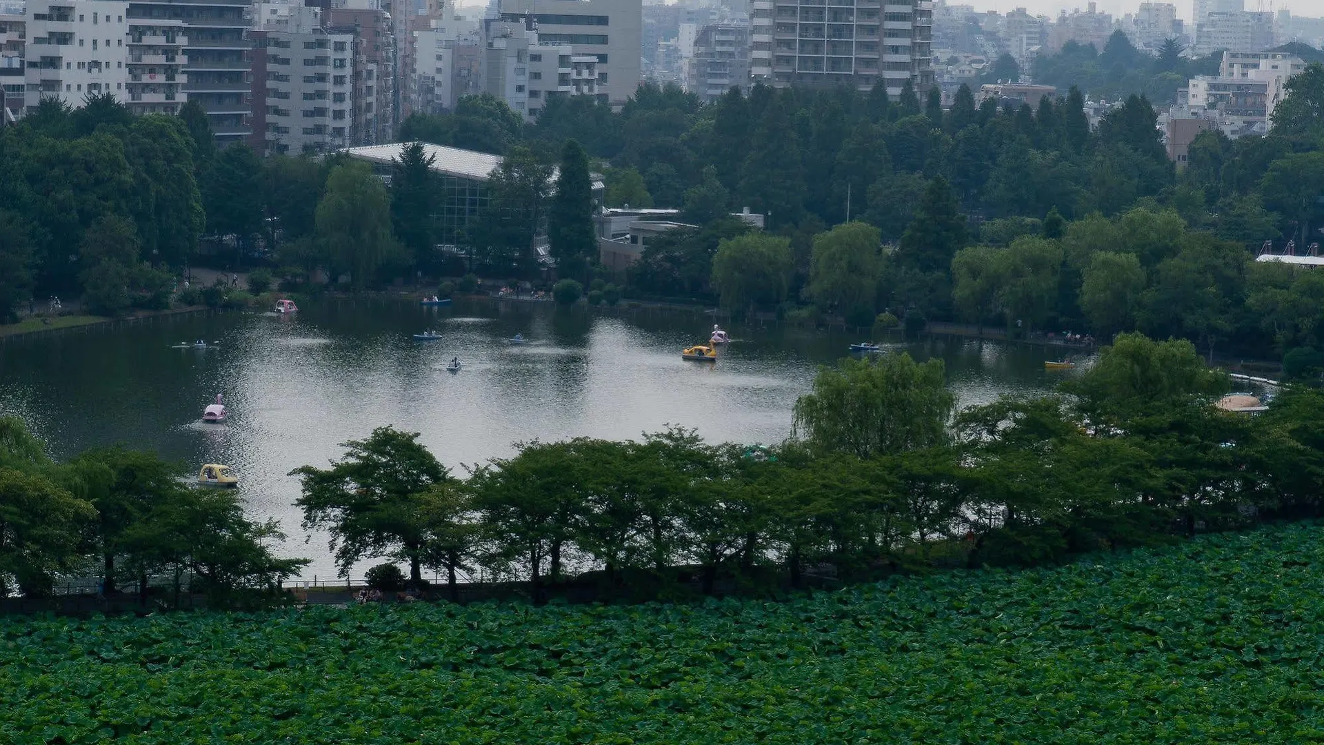 Hotel Coco Grand Ueno Shinobazu Tokyo